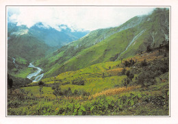 971-GUADELOUPE PAYSAGE-N°T2653-A/0339 - Sonstige & Ohne Zuordnung