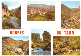 48-GORGES DU TARN-N°T2654-A/0067 - Gorges Du Tarn