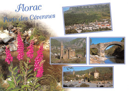48-FLORAC-N°T2653-D/0275 - Florac