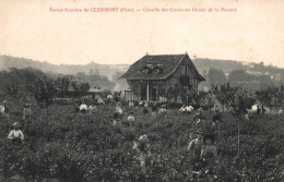 Clermont - La Ferme Fruitière - Coeuille Des Cassis Au Chalet De La Pomme - Cueillette Fruits - Clermont