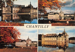 60-CHANTILLY CHATEAU-N°T2654-C/0205 - Chantilly