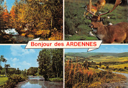 08-ARDENNES-N°T2654-B/0391 - Other & Unclassified
