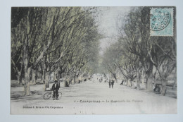Cpa 1905 CARPENTRAS La Promenade Des Platanes - BL84 - Carpentras