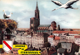 67-STRASBOURG-N°T2655-A/0087 - Strasbourg
