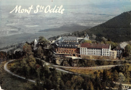 67-MONT SAINTE ODILE-N°T2654-D/0373 - Other & Unclassified