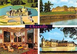 60-CHANTILLY LE CHATEAU-N°T2655-C/0197 - Chantilly