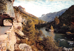 48-LES GORGES DU TARN LES TUNNELS-N°T2656-C/0399 - Autres & Non Classés