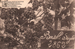 Villefranche - établissement Viticoles MACLET BOTTON - Bertill& Seyve 2862 Sélectionné , Le Commandant - Vin Vignoble - Villefranche-sur-Saone