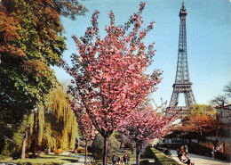 75-PARIS TOUR EIFFEL-N°T2657-B/0177 - Eiffeltoren