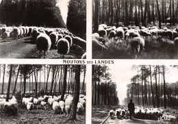 40-LES LANDES-N°T2657-A/0385 - Other & Unclassified