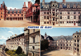 41-BLOIS-N°T2657-A/0251 - Blois