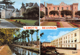 41-LAMOTTE BEUVRON-N°T2658-A/0111 - Lamotte Beuvron