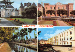 41-LAMOTTE BEUVRON-N°T2658-A/0109 - Lamotte Beuvron