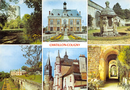 45-CHATILLON COLIGNY-N°T2658-A/0093 - Chatillon Coligny