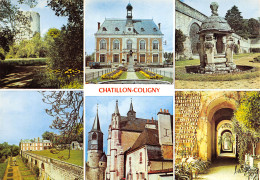 45-CHATILLON COLIGNY-N°T2658-A/0087 - Chatillon Coligny