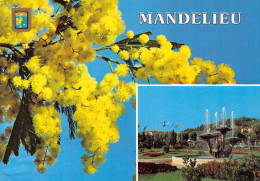 06-MANDELIEU-N°T2658-C/0193 - Other & Unclassified