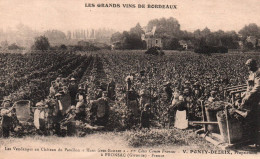 Vin - Vignoble V. PONTY DEZEIX à Fronsac - Les Vendanges Au Château Du Pavillon Haut Gros Bonnet - Vendangeurs - Vigne
