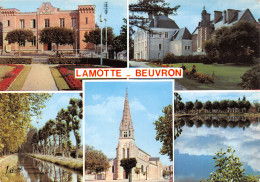 41-LAMOTTE BEUVRON-N°T2658-A/0351 - Lamotte Beuvron