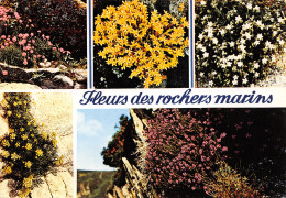 29-BRETAGNE FLEURS DES ROCHERS MARINS-N°T2658-A/0325 - Other & Unclassified