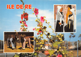 17-ILE DE RE-N°T2660-A/0137 - Ile De Ré