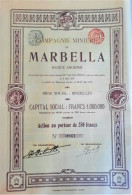 Compagnie Minière De Marbella (1911)  Action Au Porteur De 250 Fr - Mijnen