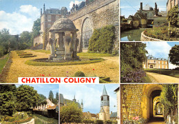 45-CHATILLON COLIGNY-N°T2660-B/0301 - Chatillon Coligny