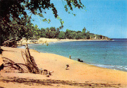 971-GUADELOUPE PLAGE SAUVAGE AUX ANTILLES-N°T2660-A/0329 - Sonstige & Ohne Zuordnung