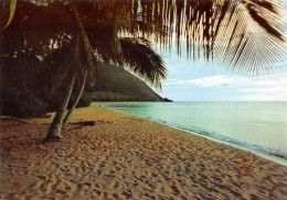 971-GUADELOUPE PLAGE AUX ANTILLES-N°T2660-A/0319 - Sonstige & Ohne Zuordnung