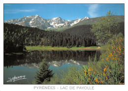65-LAC DE PAYOLLE-N°T2660-A/0219 - Other & Unclassified