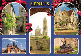 60-SENLIS-N°T2661-B/0197 - Senlis