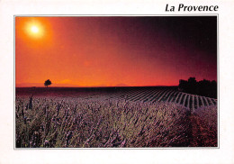 84-LA PROVENCE-N°T2661-A/0369 - Other & Unclassified