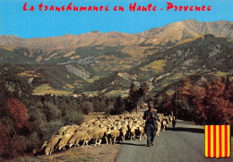 84-LA PROVENCE TRANSHUMANCE-N°T2661-A/0367 - Sonstige & Ohne Zuordnung
