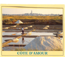 44-COTE D AMOUR-N°T2661-D/0357 - Other & Unclassified