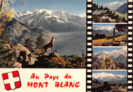 74-PAYS DU MONT BLANC-N°T2662-B/0335 - Other & Unclassified