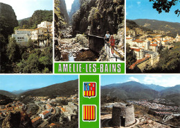 66-AMELIE LES BAINS-N°T2662-B/0085 - Autres & Non Classés