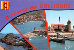 66-COLLIOURE-N°T2663-B/0019 - Collioure