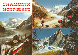 74-CHAMONIX-N°T2663-A/0131 - Chamonix-Mont-Blanc