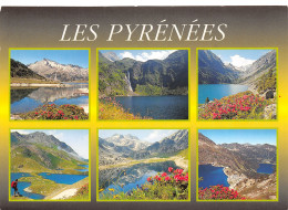 65-LES PYRENEES-N°T2663-A/0007 - Other & Unclassified