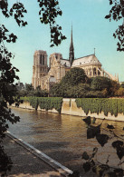 75-PARIS NOTRE DAME-N°T2662-D/0033 - Notre-Dame De Paris