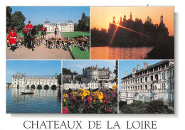 41-CHATEAUX DE LA LOIRE-N°T2663-B/0375 - Other & Unclassified