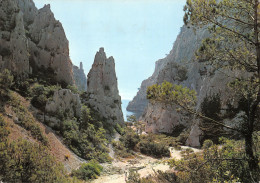13-CASSIS-N°T2663-B/0315 - Cassis
