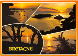 35-BRETAGNE-N°T2664-A/0241 - Other & Unclassified