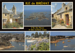 22-ILE DE BREHAT L ILE DES FLEURS-N°T2664-A/0015 - Ile De Bréhat