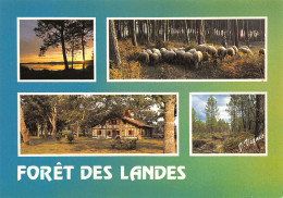 40-LES LANDES-N°T2665-A/0261 - Other & Unclassified