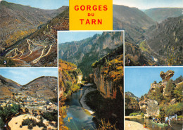48-GORGES DU TARN-N°T2665-A/0173 - Gorges Du Tarn
