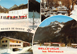 74-BELLEVAUX-N°T2664-D/0367 - Bellevaux