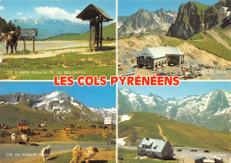 65-LES COLS PYRENEENS-N°T2664-D/0353 - Other & Unclassified