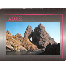 2B-CORSE ILE ROUSSE-N°T2664-C/0207 - Other & Unclassified