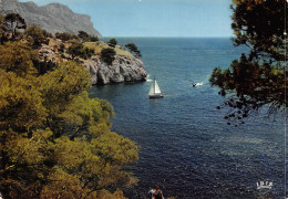 13-CASSIS SUR MER-N°T2665-D/0015 - Cassis