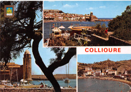 66-COLLIOURE-N°T2665-C/0111 - Collioure